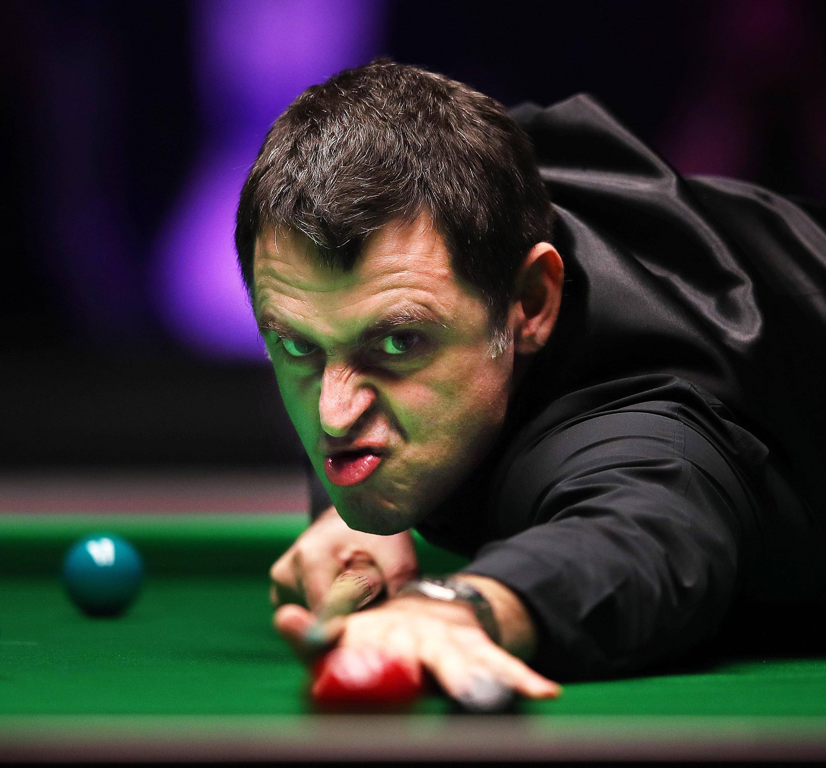 力的体现 力的体现